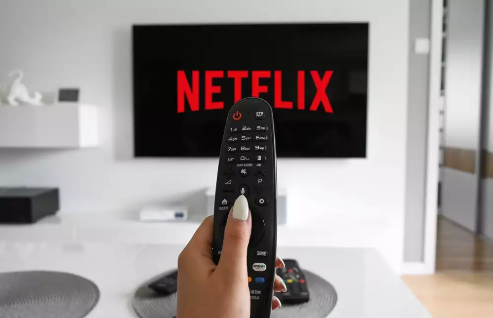 Netflix Pridani Domacnosti